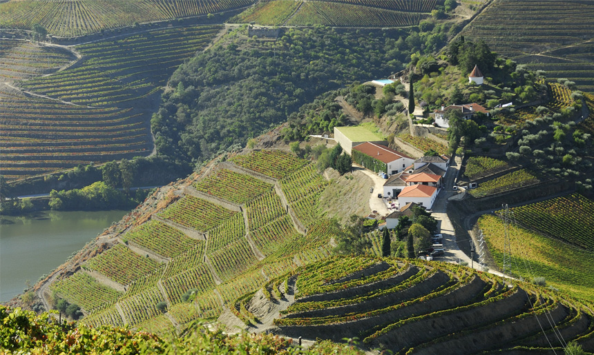 Quinta do Crasto aneb cesta ze stinu velkych firem na vysluni